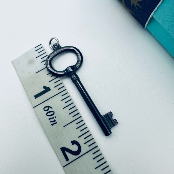 Retired Tiffany & Co. Black Titanium Oval Key Charm Pendant with Pouch - Picture 7 of 8